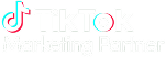 tiktokpartner-min 1